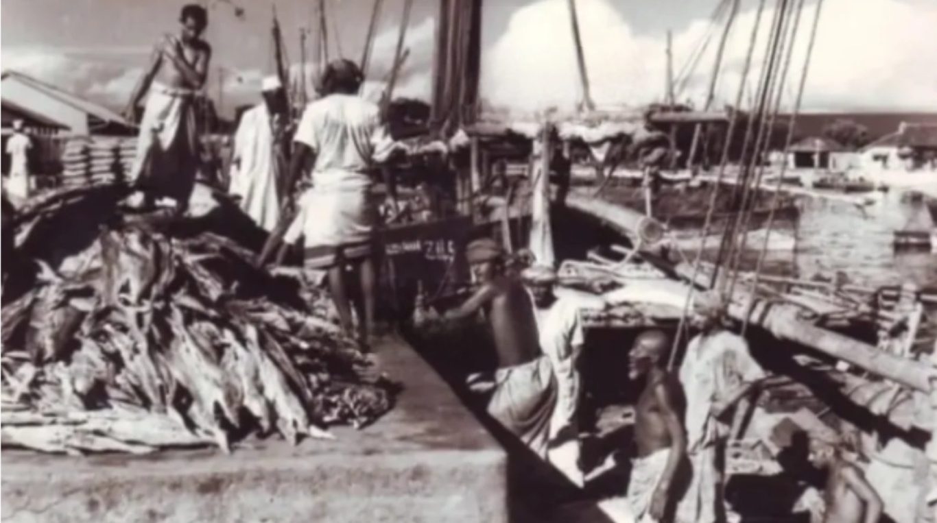 [Fish market in Malindi Stonetown - in the 1950ies]