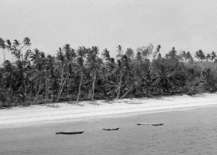 [One of the sand beaches in the south of Zanzibar]